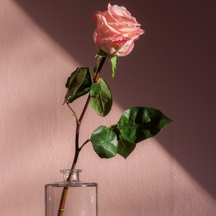 An image of Bobbie Winter, therapist, smiling. She has grey-white hair with the under part died a brilliant blue. She is smiling with a sage green shirt on and a multi-tiered silver necklace 